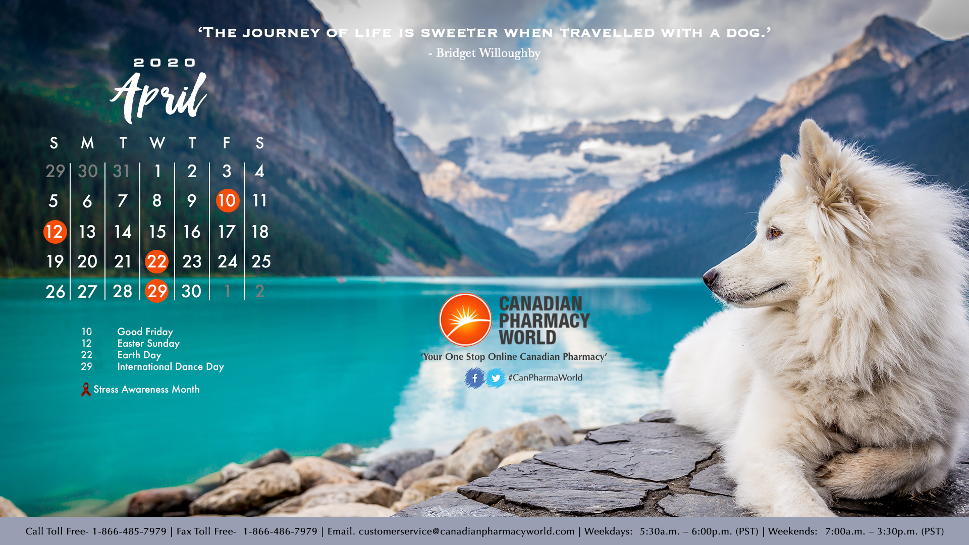 canadian animal pharmacy