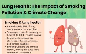 Lung Health: The Impact of Smoking, Pollution, and Climate Change