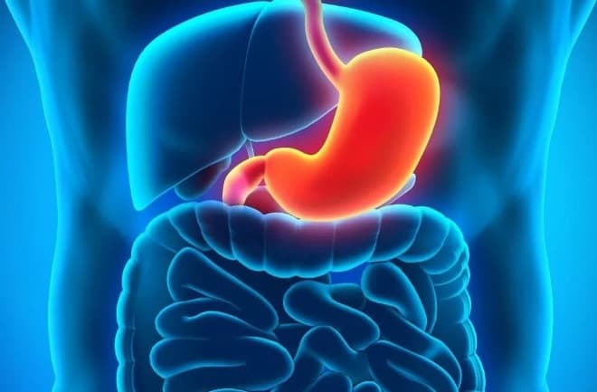 5 Scientifically Proven Remedies for Treating Stomach Ulcer