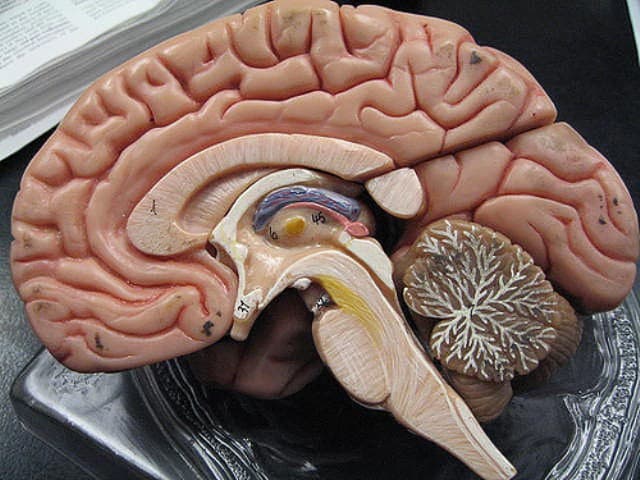 Vagus Nerve Stimulation Photo Credit: by GreenFlames09